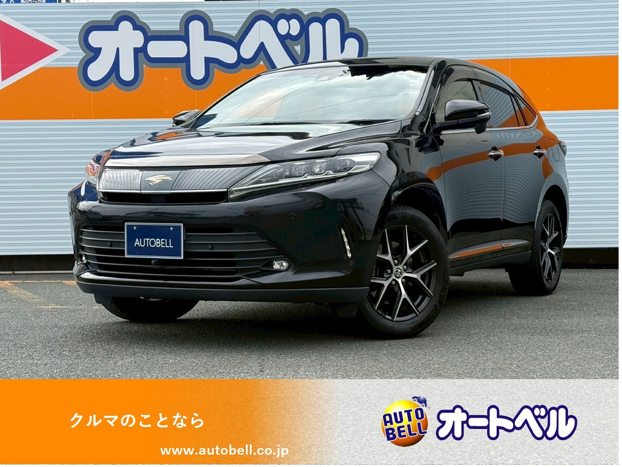 アルトラパンショコラ画像