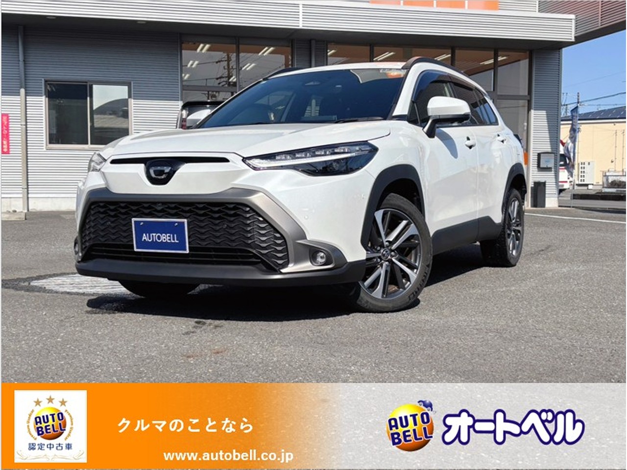 アルトラパンショコラ画像